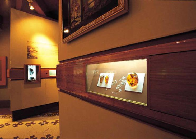 Amber Museum (Museo Del Ámbar)